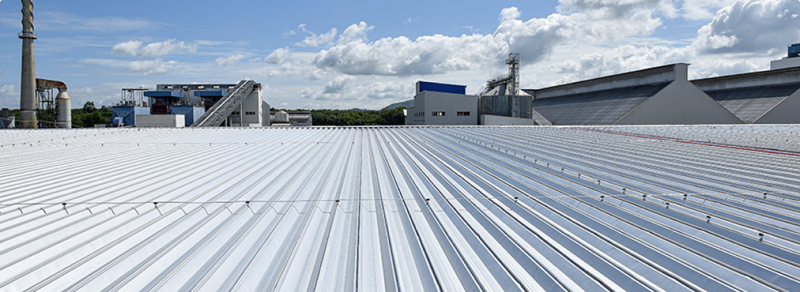 ROOF Check